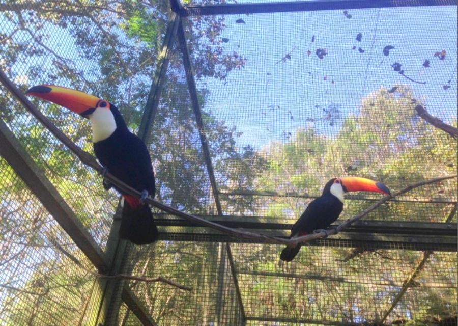 tucanos_zooparque