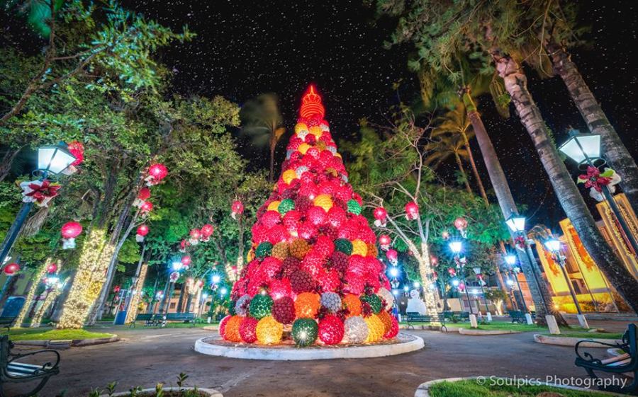 luzes-de-natal-shane-21